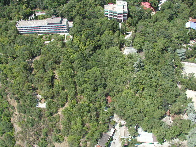 yalta vert 37