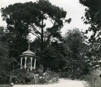 Никитский ботанический сад (старые фото)