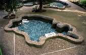 Декоративный бассейн